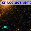 Cl* NGC 1978    WBT    2485