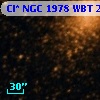 Cl* NGC 1978    WBT    2489