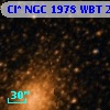 Cl* NGC 1978    WBT    2490