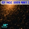 Cl* NGC 1978    WBT    2491