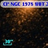 Cl* NGC 1978    WBT    2493