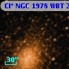 Cl* NGC 1978    WBT    2496