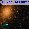 Cl* NGC 1978    WBT    2501