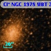 Cl* NGC 1978    WBT    2513