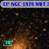 Cl* NGC 1978    WBT    2519