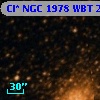 Cl* NGC 1978    WBT    2523