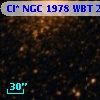 Cl* NGC 1978    WBT    2537