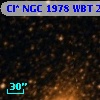 Cl* NGC 1978    WBT    2546