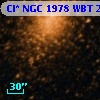 Cl* NGC 1978    WBT    2556