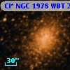Cl* NGC 1978    WBT    2561
