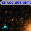 Cl* NGC 1978    WBT    2564