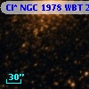 Cl* NGC 1978    WBT    2595