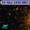 Cl* NGC 1978    WBT    2596