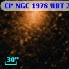 Cl* NGC 1978    WBT    2603