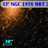 Cl* NGC 1978    WBT    2604