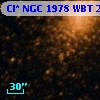 Cl* NGC 1978    WBT    2611
