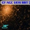 Cl* NGC 1978    WBT    2613