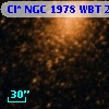 Cl* NGC 1978    WBT    2619