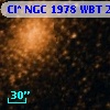 Cl* NGC 1978    WBT    2635