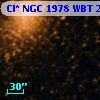 Cl* NGC 1978    WBT    2636