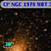 Cl* NGC 1978    WBT    2644