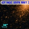 Cl* NGC 1978    WBT    2648