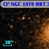 Cl* NGC 1978    WBT    2664