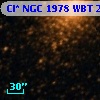 Cl* NGC 1978    WBT    2673