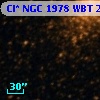 Cl* NGC 1978    WBT    2683