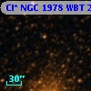 Cl* NGC 1978    WBT    2685