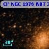 Cl* NGC 1978    WBT    2686