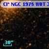 Cl* NGC 1978    WBT    2694