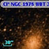 Cl* NGC 1978    WBT    2699