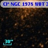 Cl* NGC 1978    WBT    2718