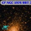 Cl* NGC 1978    WBT    2721