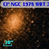 Cl* NGC 1978    WBT    2731