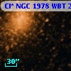 Cl* NGC 1978    WBT    2733