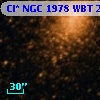 Cl* NGC 1978    WBT    2737