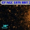 Cl* NGC 1978    WBT    2769