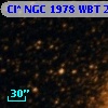 Cl* NGC 1978    WBT    2794
