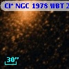 Cl* NGC 1978    WBT    2826