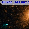 Cl* NGC 1978    WBT    2834