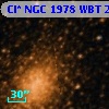 Cl* NGC 1978    WBT    2835