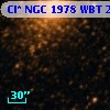 Cl* NGC 1978    WBT    2838