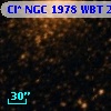 Cl* NGC 1978    WBT    2866