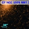 Cl* NGC 1978    WBT    2871