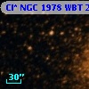 Cl* NGC 1978    WBT    2875