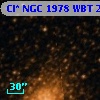 Cl* NGC 1978    WBT    2877