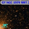 Cl* NGC 1978    WBT    2890