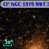 Cl* NGC 1978    WBT    2899